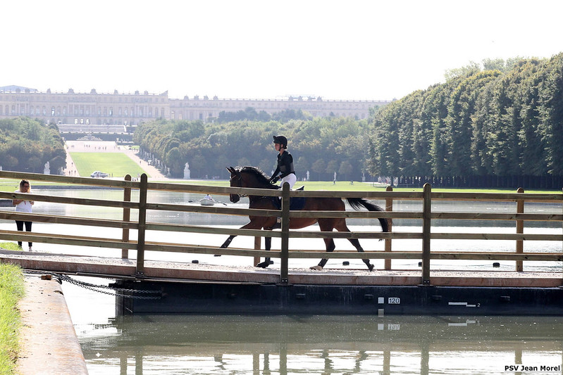 Equestrian Well And Truly On Course For Paris 2024 Sydney CDI   53137413337 C74f2212d5 C 